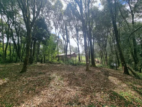 imagem 2 - Rural - ChácaraFazenda imagem 2 - Rural - ChácaraFazenda