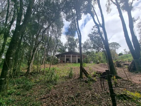 imagem 3 - Rural - ChácaraFazenda imagem 3 - Rural - ChácaraFazenda
