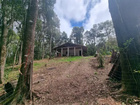 imagem 4 - Rural - ChácaraFazenda imagem 4 - Rural - ChácaraFazenda