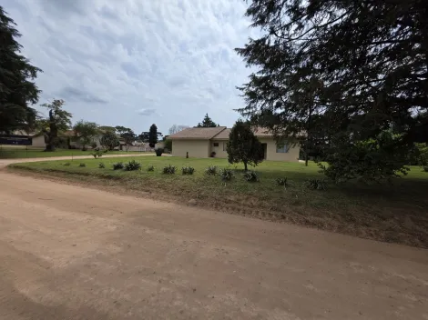 imagem 1 - Terra Nova imagem 1 - Terra Nova